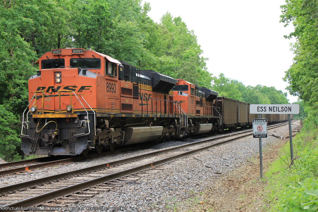 BNSF 8993